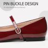 Mary Jane Shoes Women Ballet Flats Shoes for Women Slip on Comfortable Dressy Adjustable Strap for Work Office Business Casual